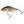 Salmo Wobler Slider Potápavý 7cm