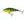 Salmo Wobler Executor Shallow Runner 5cm