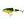 Salmo Wobler Frisky Shallow Runner 7cm