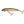 Salmo Wobler Minnow Sinking 7cm