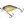 Illex Wobler Chubby 4,1cm 5,5g