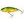 Salmo Wobler Perch Floating 12cm