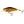 Salmo Wobler Executor Shallow Runner 9cm