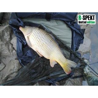 R-Spekt Podložka Compact Multi mat Standard