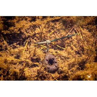 Giants Fishing Záves na bočné olovo Swivel Lead Clips 5ks