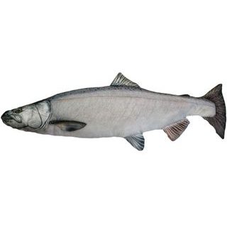 Gaby Polštář Losos stříbrný 90 cm