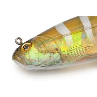 Fox Rage Gumová Nástraha Pro Shad Jointed LOADED Ultra Natural Roach