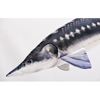 Gaby Polštář Kapr šupináč 64 cm