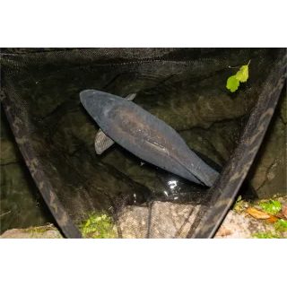 Nash Podberák Scope Black Ops Landing Net