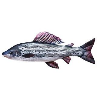 Gaby Polštář Lipan 65 cm