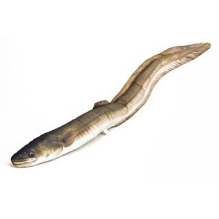 Gaby Polštář Sumec velký 115 cm