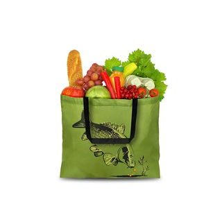 Delphin Taška Wasabi CarryBIG