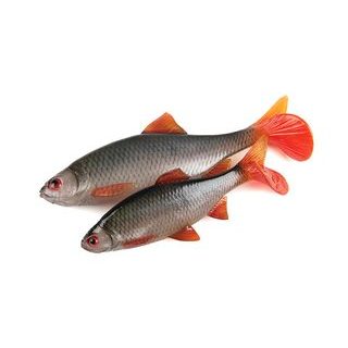 DAM Prut Intenze Feeder Rod 3,3m 40-80g