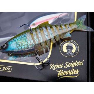 Westin Adventní kalendář Premium Predator 2025