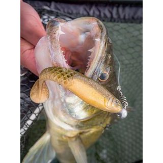 Berkley Gumová nástraha Cullshad Mixpack Clearwater