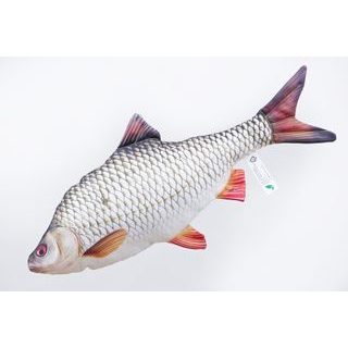 Gaby Vankúš Plotica obyčajná - 52 cm