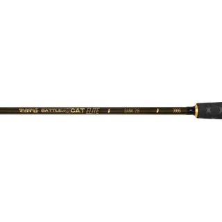 Black Cat Prút Perfect Passion X Bank 2,8m 350g