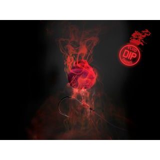 Delphin Fluo dip D Snax LiquiX 100ml