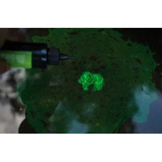 Chyť a pusť Sprej na dravce 50ml