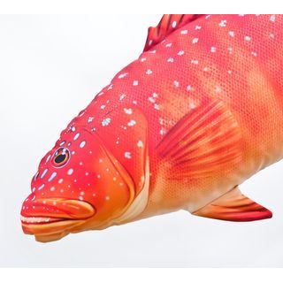 Gaby Polštář Kapr šupináč 64 cm
