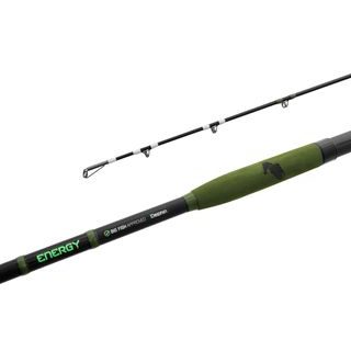 Delphin Prut Energy Catfish 3,1m 250-500g