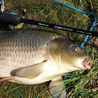 Chytil Foukaná pšenice 25g