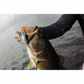 Savage Gear Nástraha 3D Cicada F Green