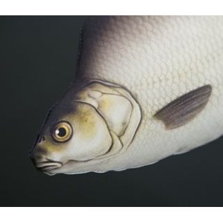 Gaby Polštář Sumec velký 115 cm