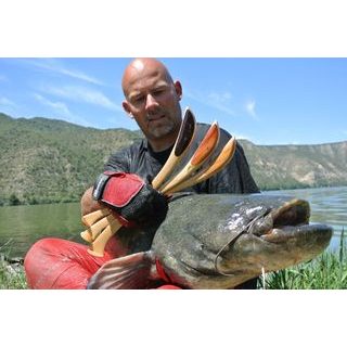 Zfish Vábnička na Sumce Catfish Clonk