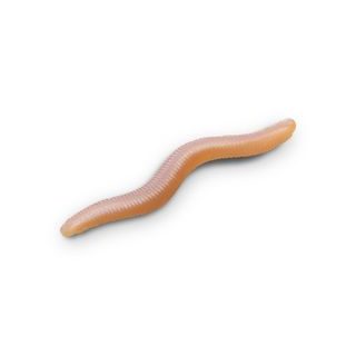 Delphin Umelá nástraha B! StinxWorm 50ks