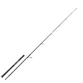 Zeck Prut Blinker Jörg Spin 270cm 30-180g