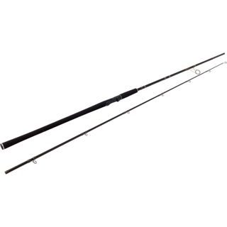 Westin Prut W2 Powerteez 2,48m XH 20-80g
