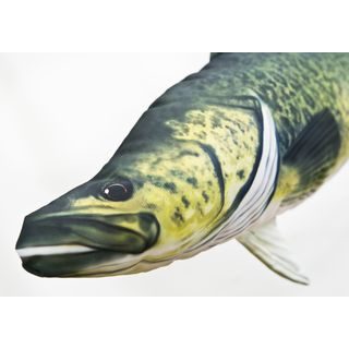 Gaby Polštář Sumec velký 115 cm