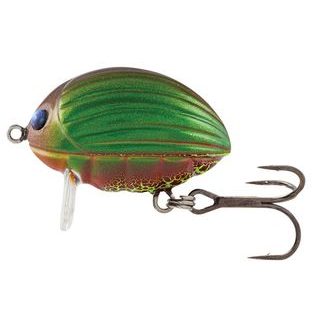 Salmo Wobler Lil' Bug Floating 3cm