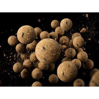 Delphin Boilies BreaX / NutCAKE 300g