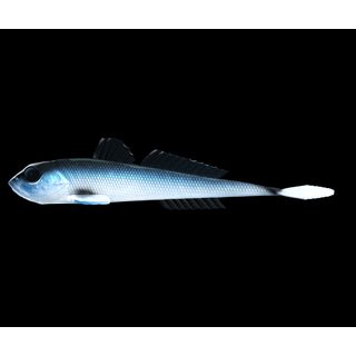 Libra Lures Gumová nástraha Gobio 7,3″ 18,6cm 40g