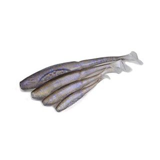 Fox Rage Gumová Nástraha Zander Pro Shad Glitter Perch