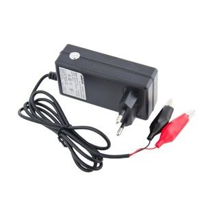 Wilstar Nabíječka 12V/0,8A pro olověné AGM/GEL akumulátory