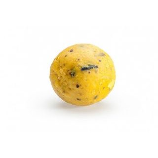 Mivardi Boilies Rapid Easy Catch Oliheň