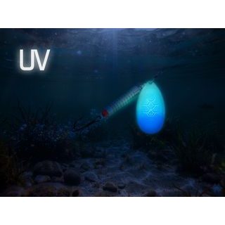 Delphin Třpytka Spear LoliDot