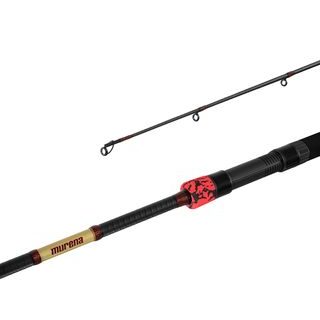 Delphin Prút Murena Power 270cm 125g 2 diel