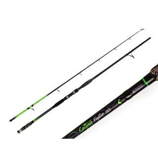 Zfish Prút Catfish Fighter 2,85m 100-300g