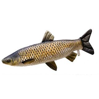 Gaby Polštář Amur 73 cm