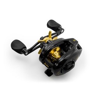 Delphin Multiplikátor Zandera