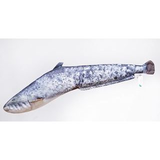 Gaby Polštář Sumec velký mini - 62 cm