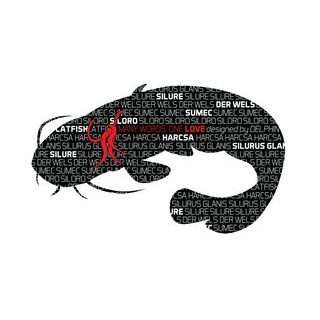 Delphin Nálepka SUMEC série Words
