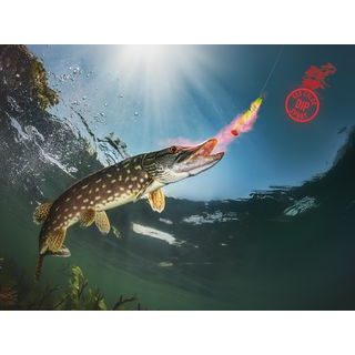 Delphin Fluo dip D Snax LiquiX 100ml