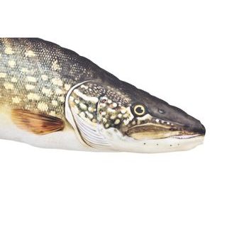 Gaby Polštář Sumec velký 115 cm