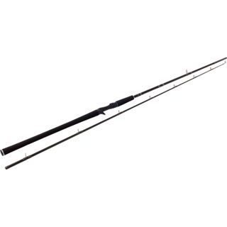 Westin Prut W2 Powercast-T 2,48m XH 20-80g