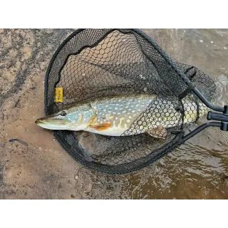 Fencl Originální náhradní pogumovaná podběráková síť 300 x 85cm